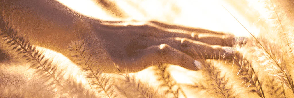 complément alimentaire arrêt pilule