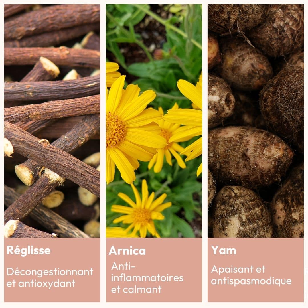 ingrédients sérum corps