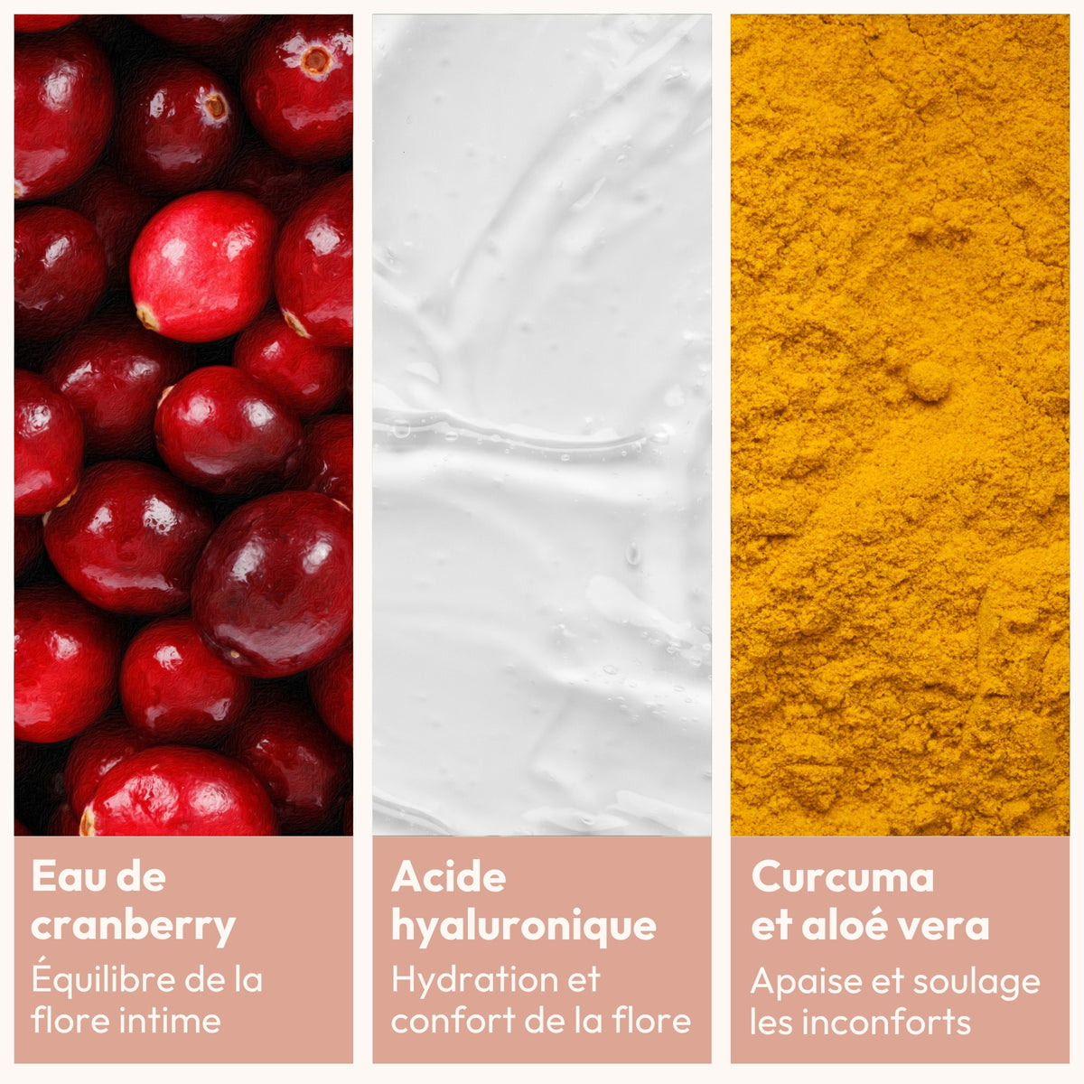 Ses actifs : eau de cranberry, acide hyaluronique, curcuma et aloé vera