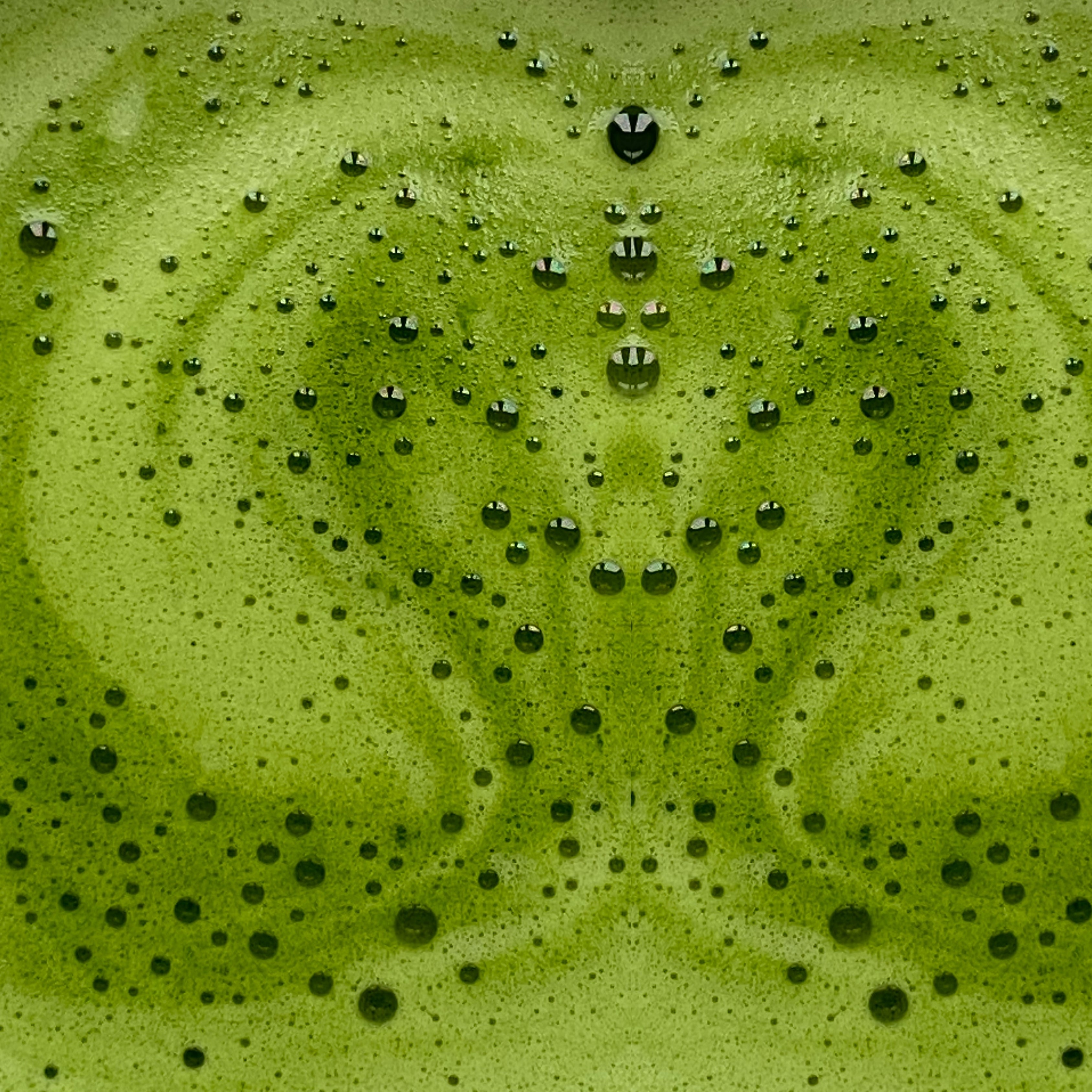 matcha energie