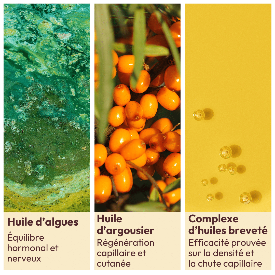 Ses actifs : huile d'algues, huile d'argousier, complexe d'huiles breveté
