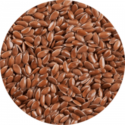 huile de lin bienfaits