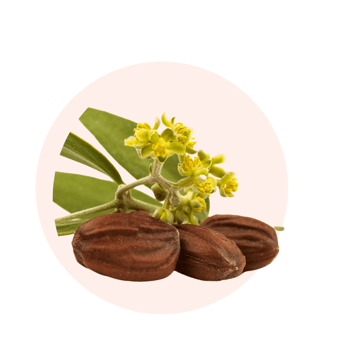 huile de jojoba