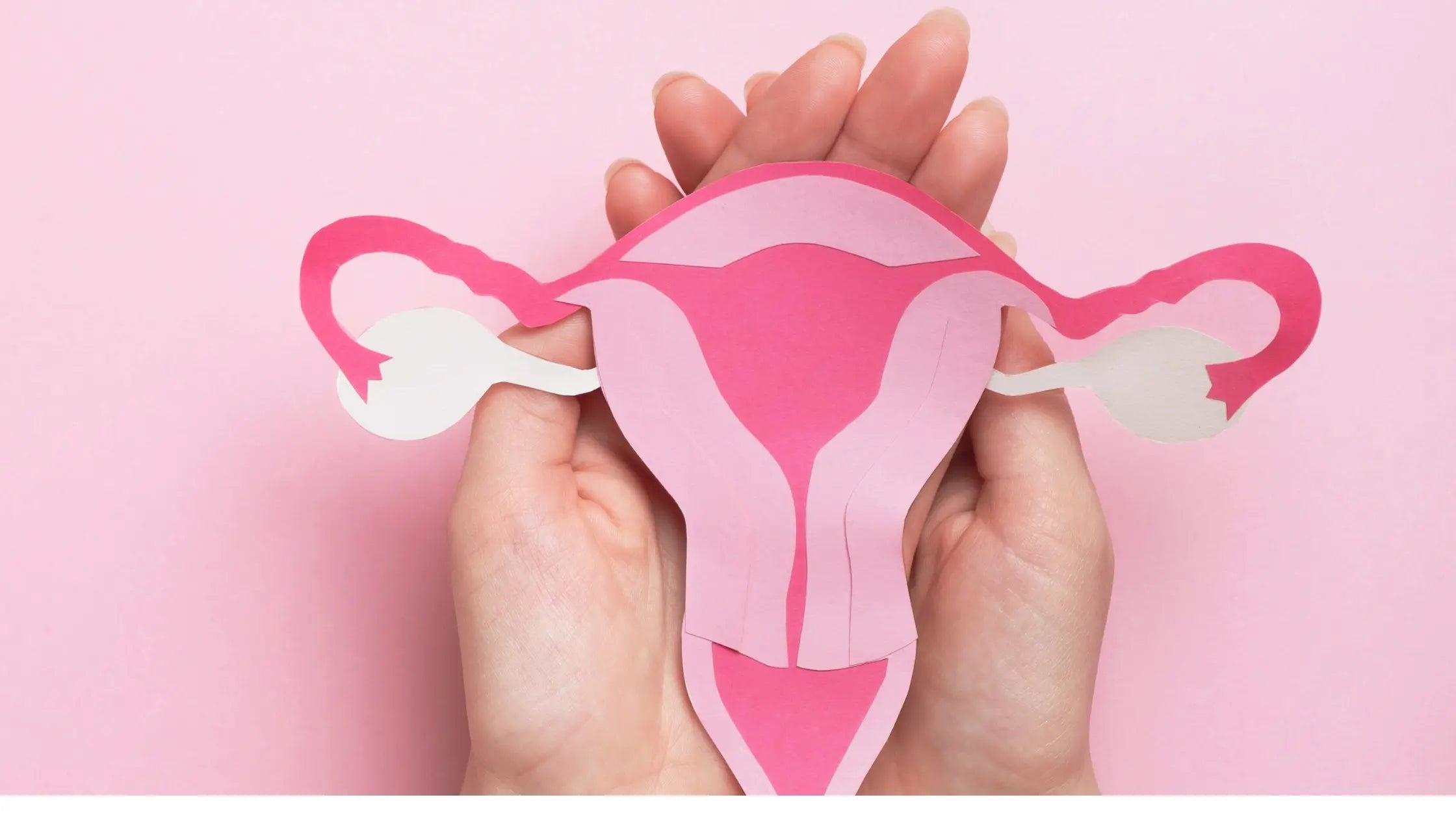 Œstrogène et Alimentation : Comment les aliments peuvent équilibrer vos hormones ?