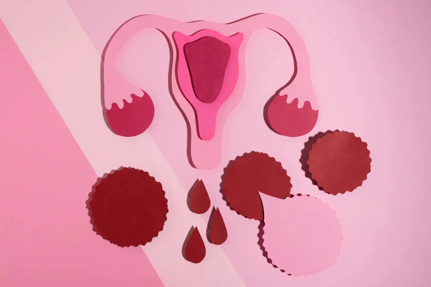 couleur des regles signification