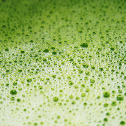 [MY] MATCHA LATTE METABOLISM ACTIVATOR