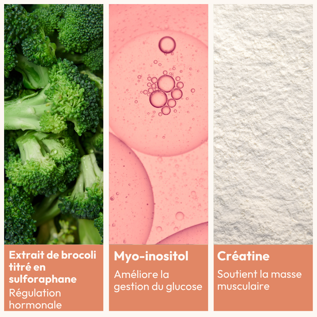 [MY] ESSENTIELS ACTIVATEURS DE MÉTABOLISME