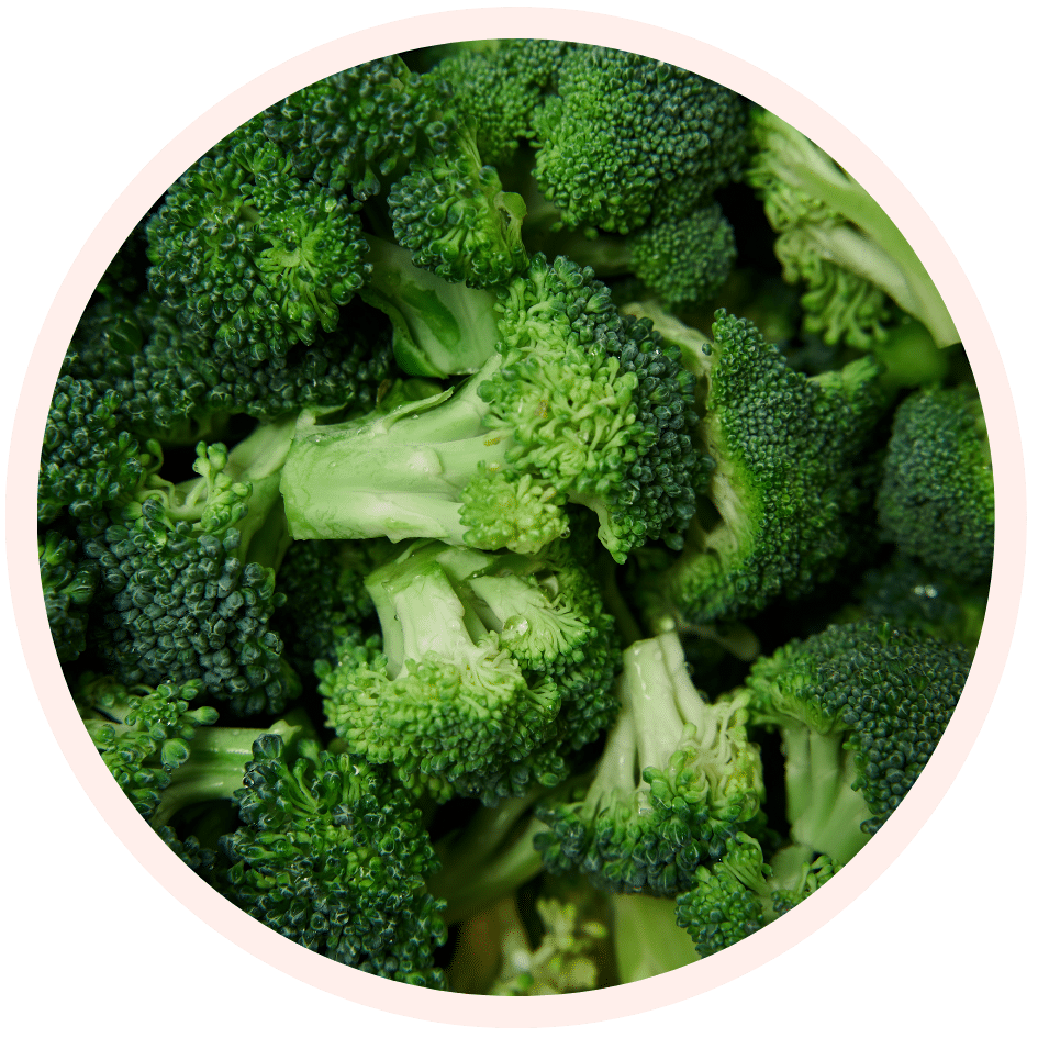 EXTRAIT DE GRAINES DE BROCOLI