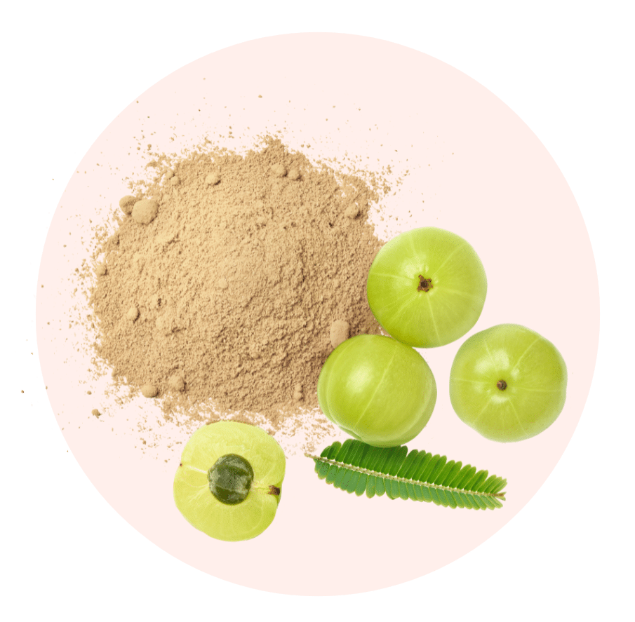 Poudre d'Amla