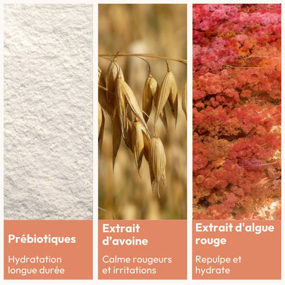 [MY] VELOUTÉ CORPS DOUCEUR