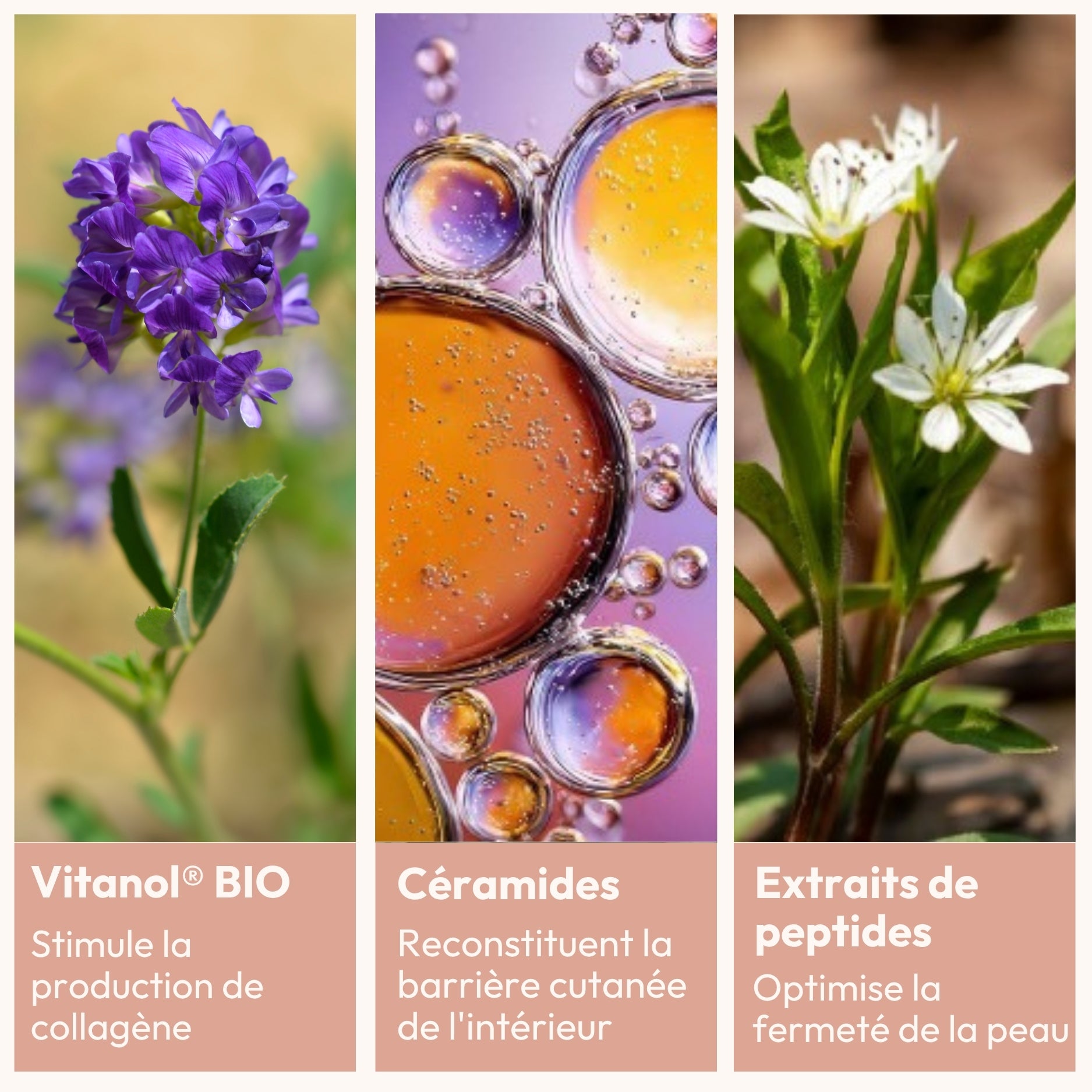 [MY] BAUME PRO-COLLAGÈNE UNIFIANT