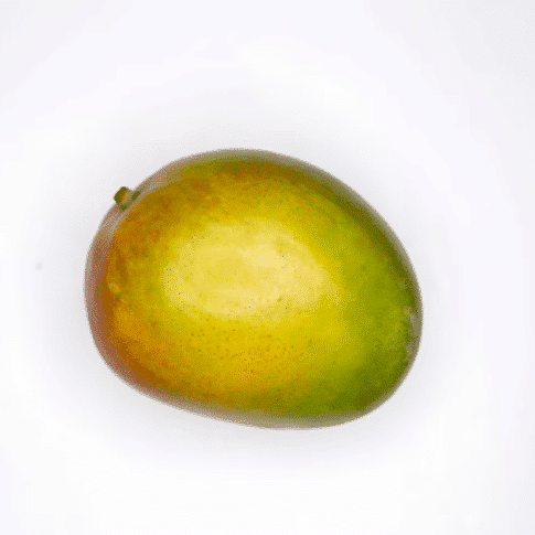 Mangue