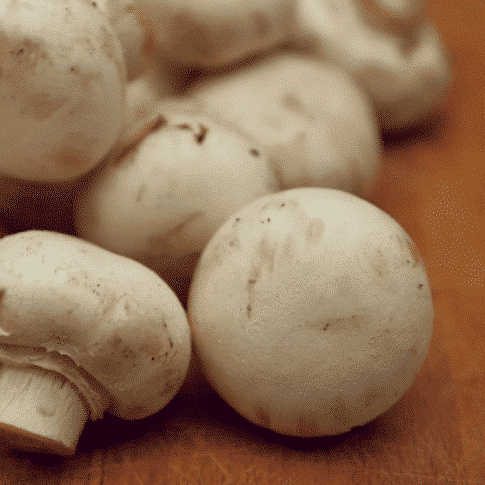 Champignons