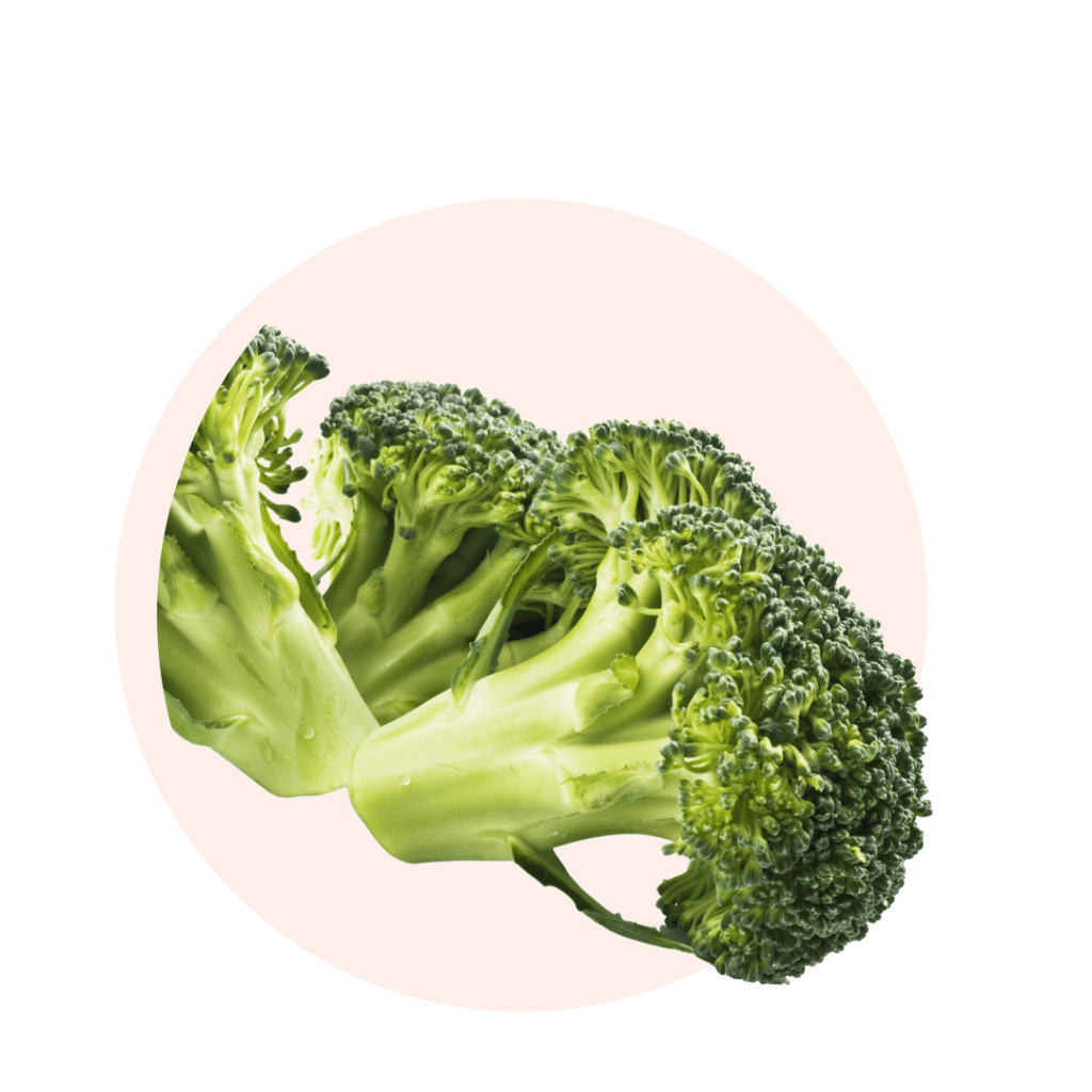 Visuels ingredients page glossaire brocoli