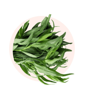 Visuels ingredients page glossaire estragon