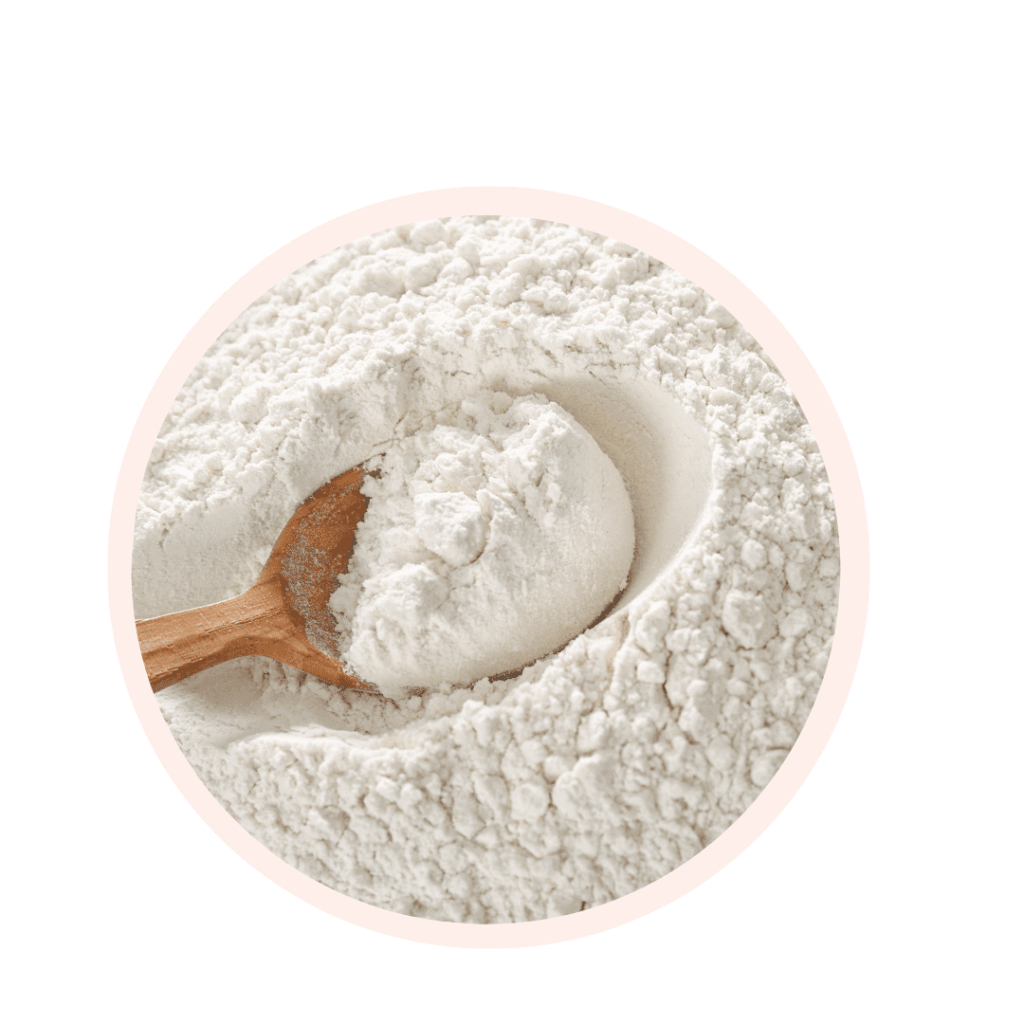 Visuels ingredients page glossaire racine de marante