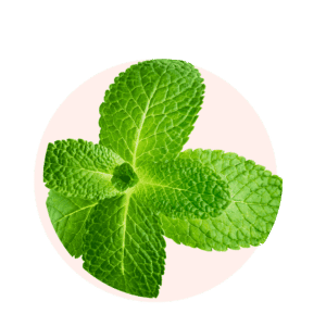 Menthol