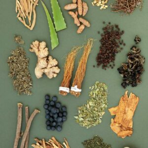 plantes adaptogènes