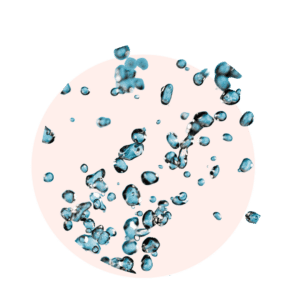 Visuels ingredients page glossaire aqua