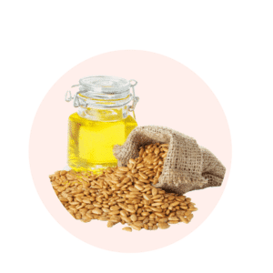 graines de tournesol