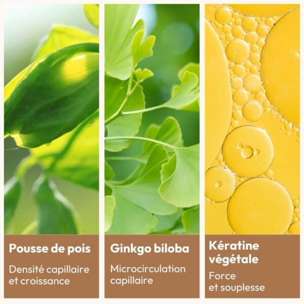 sérum cheveux ingrédients