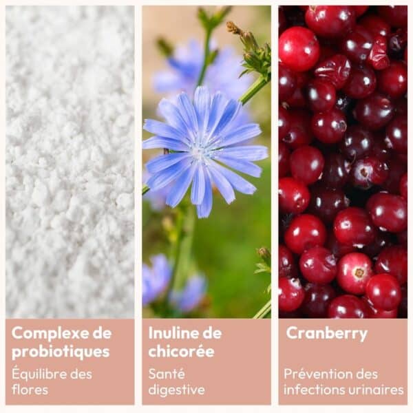 ingrédients EFI