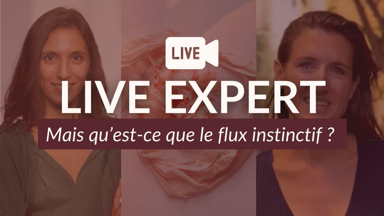 Qu'est-ce que le flux instinctif ?