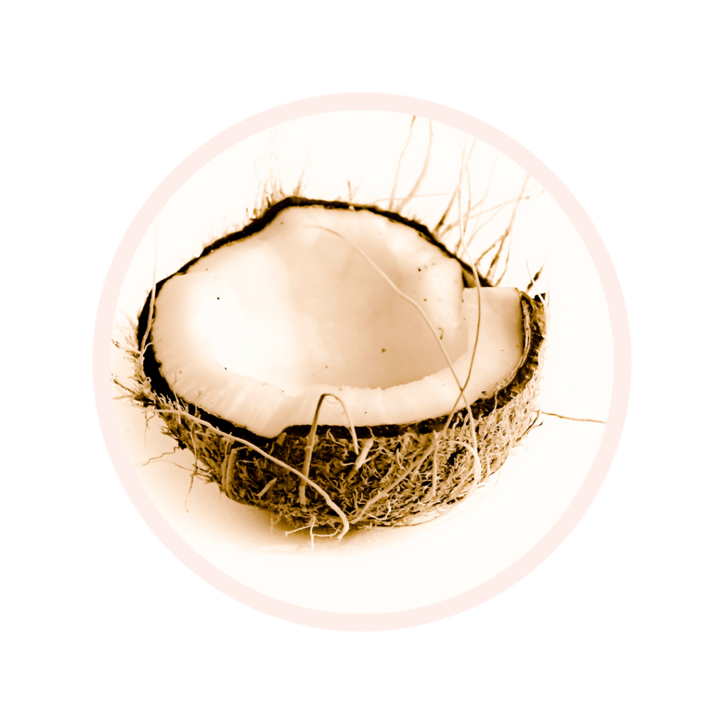 Cocos Nucifera Fruit Juice / Extract