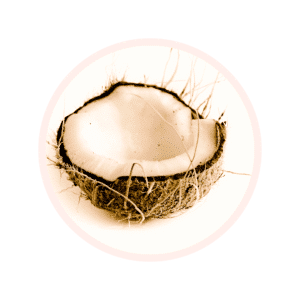 Visuel glossaire COCOS NUCIFERA FRUIT JUICE COCOS NUCIFERA FRUIT EXTRACT