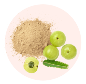 Poudre d'Amla