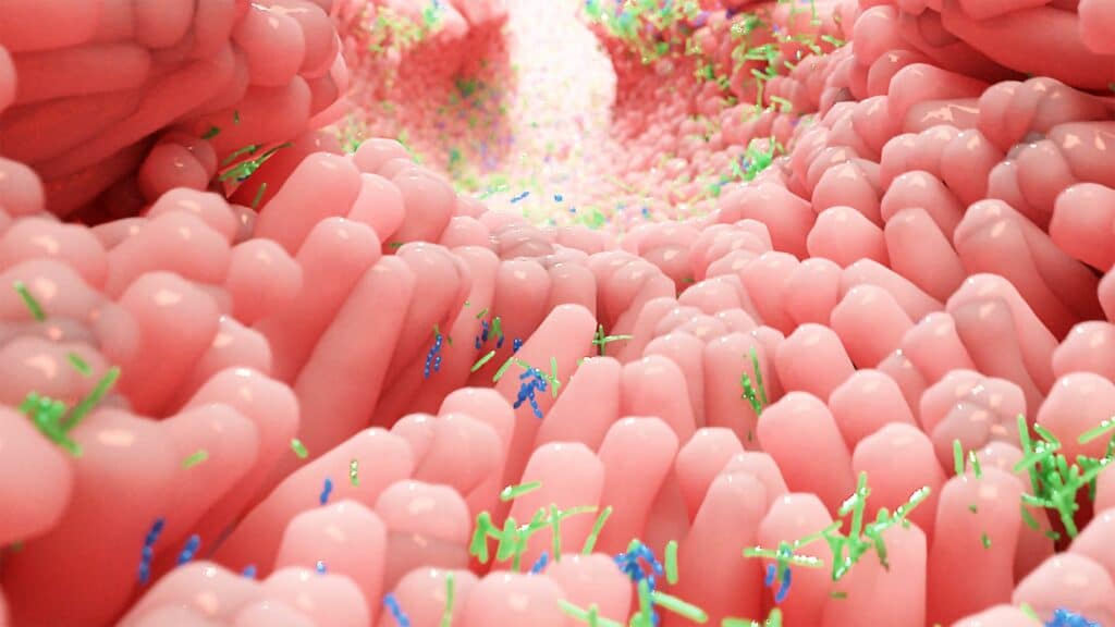 probiotiques