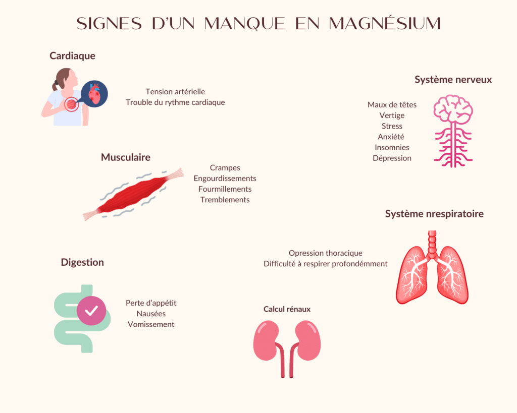 Signes manque magnéisum