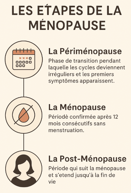 étapes de la ménopause 