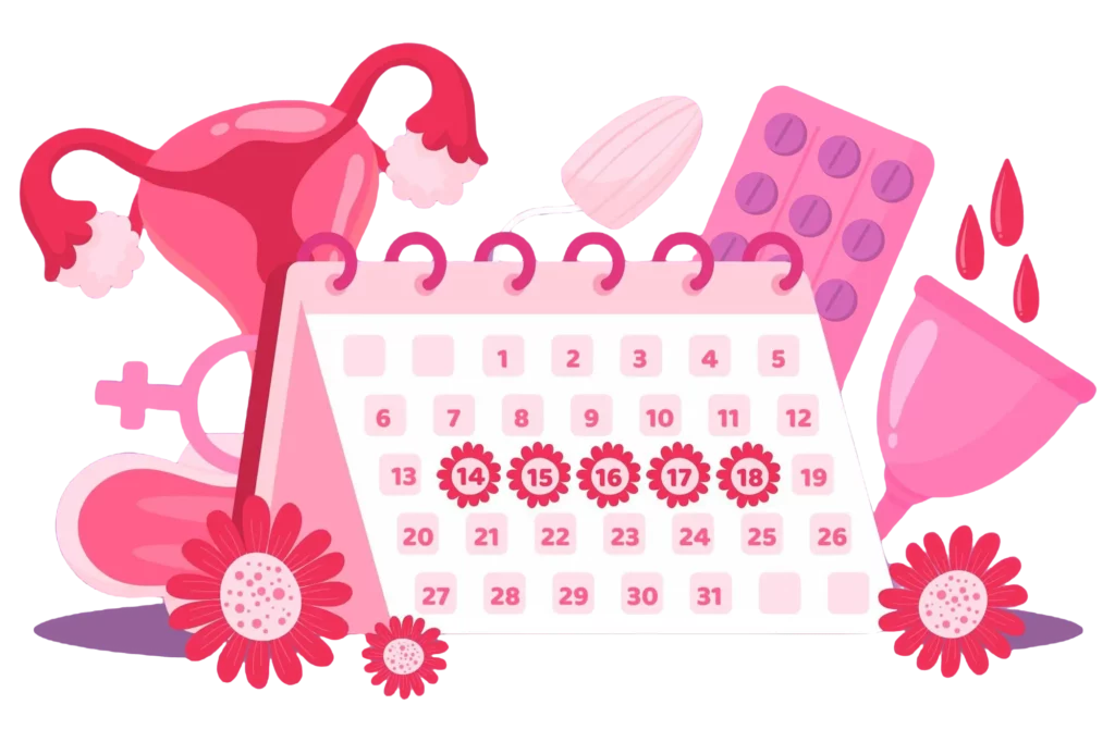 premenopause and menstruation every 15 days