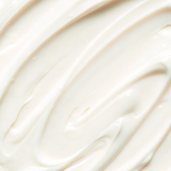 Velouté texture