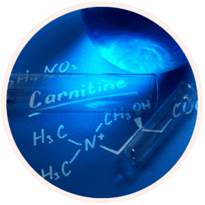 L-CARNITINE TARTRATE