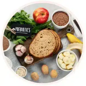 prébiotiques