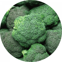 Detox _ dim de brocoli Dim de brocoli