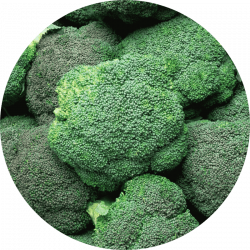 Dim de brocoli