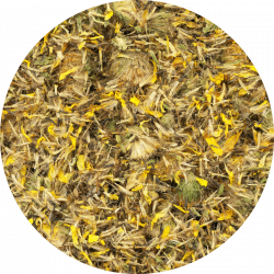 Arnica Arnica