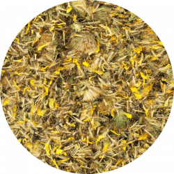 Arnica Arnica