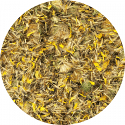 Arnica