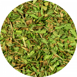 Infusion _ Estragon Estrago,