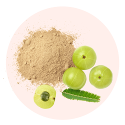 Poudre d'Amla