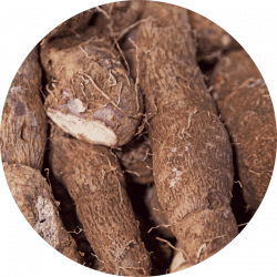 Yam