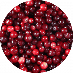 cramberry