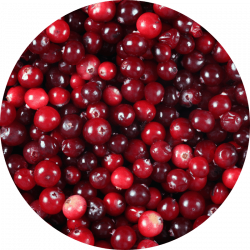 cramberry